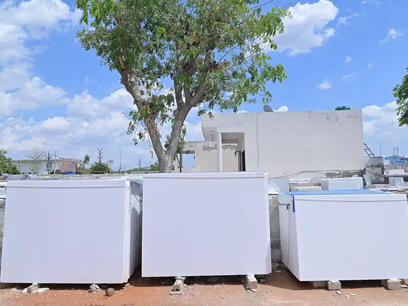 Medium Grain White